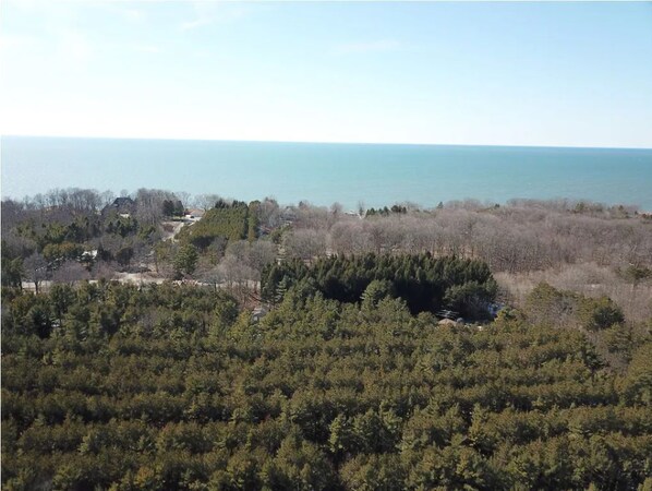 Un paysage côtier avec une forêt dense, un ciel dégagé et une vue sur la mer.