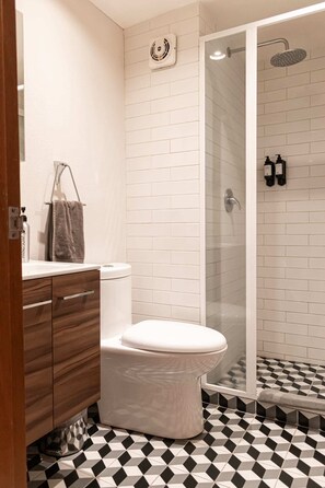 Bathtub, hair dryer - Mejor y amplio departamento en Polanco gran ubicación (Ciudad de México)