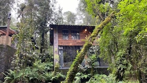 A rustic cabin with a wooden exterior, surrounded by lush greenery and ferns. - CABANA en el bosque TRANQUILIDAD ABSOLUTA, UNICO (Valle de Bravo)
