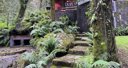 CABANA en el bosque TRANQUILIDAD ABSOLUTA, UNICO