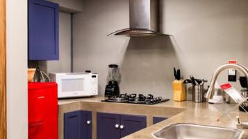 Fridge, stovetop, cookware/dishes/utensils