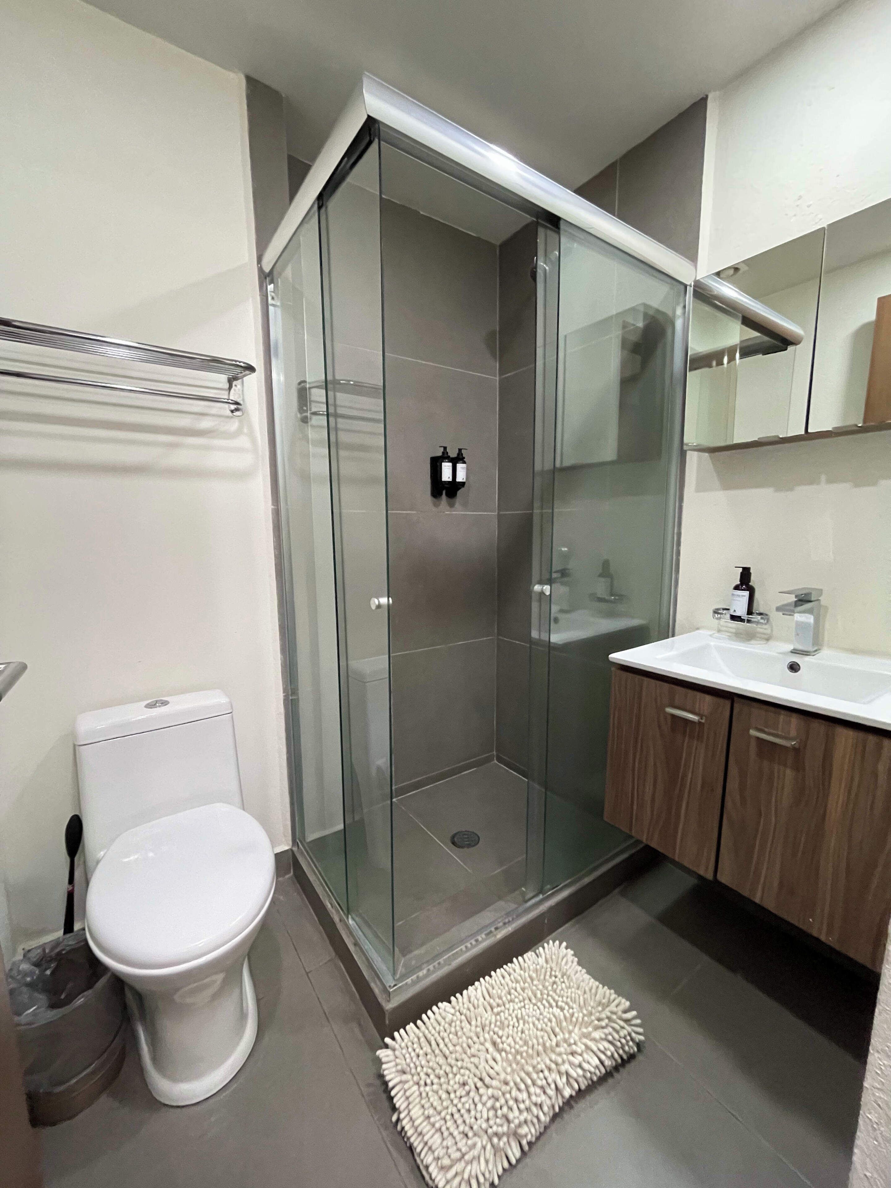 Shower, hair dryer
