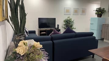 TV, offices