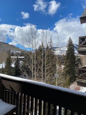 Property grounds - Beautiful view by the creek, close to Vail Village (Vail)