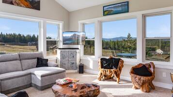 TV connectée, cheminée, lecteur de DVD, livres