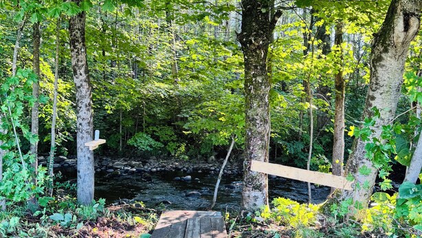 Un pont en bois, situé dans une zone boisée, enjambe une rivière.