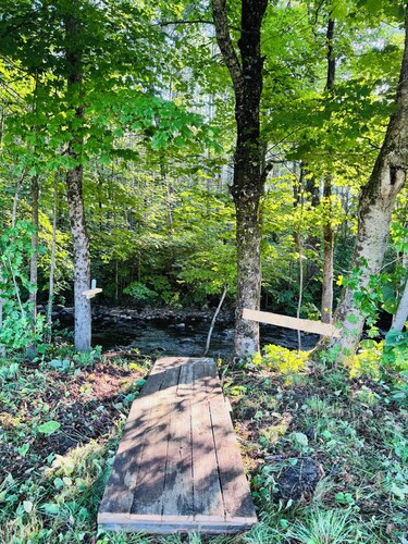 Hidden Gem in White Mtn: Pet Friendly and close to Hiking and ATV trails