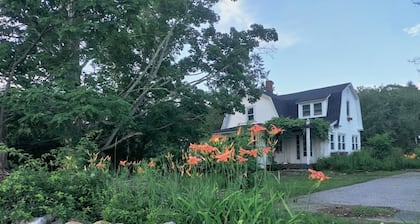 Hidden Gem in White Mtn: Pet Friendly and close to Hiking and ATV trails
