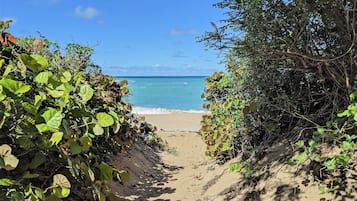 Toallas de playa 