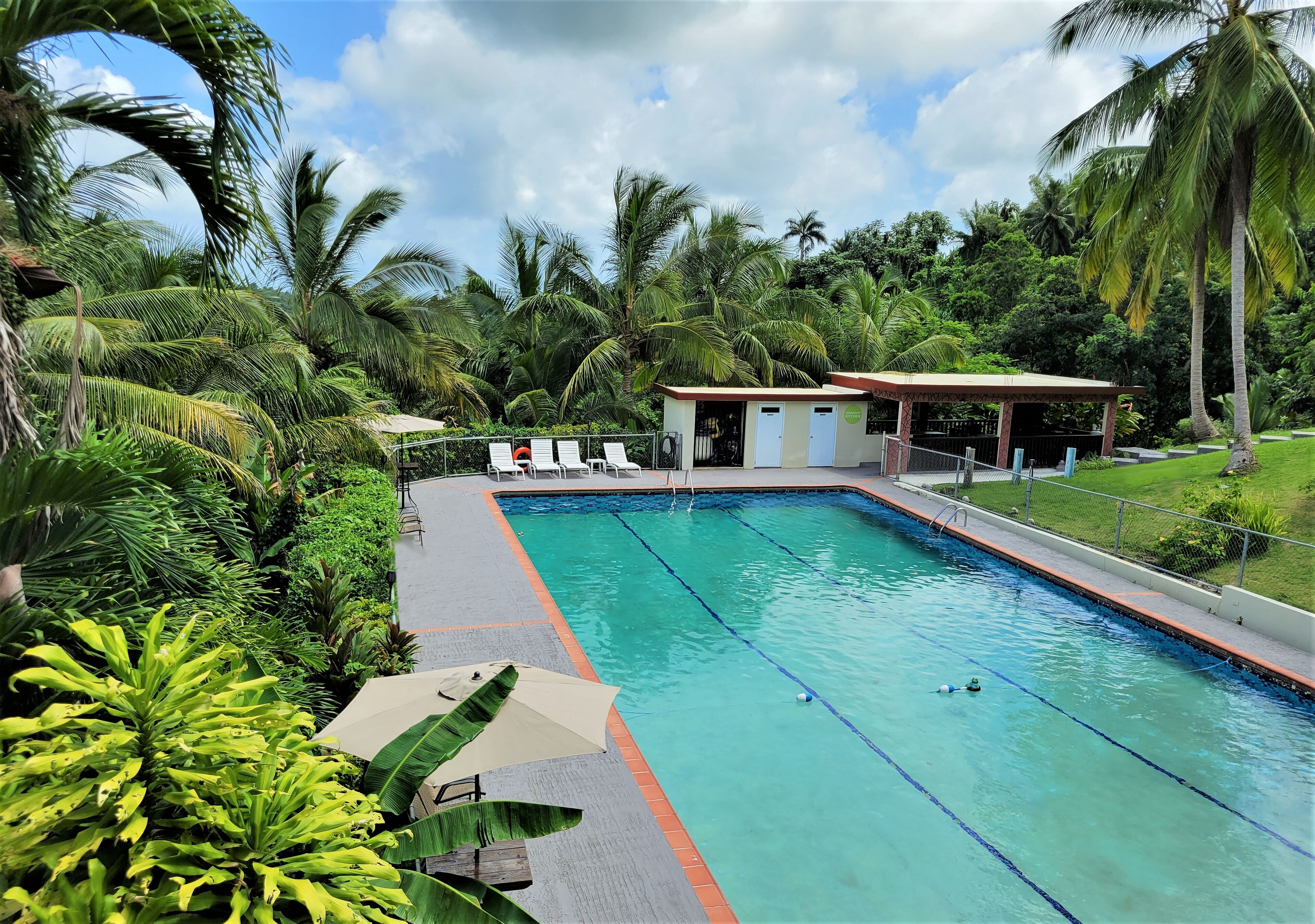 A swimming pool with clear blue water, surrounded by lush greenery and palm trees. There are lounge chairs and a small building with a roof.