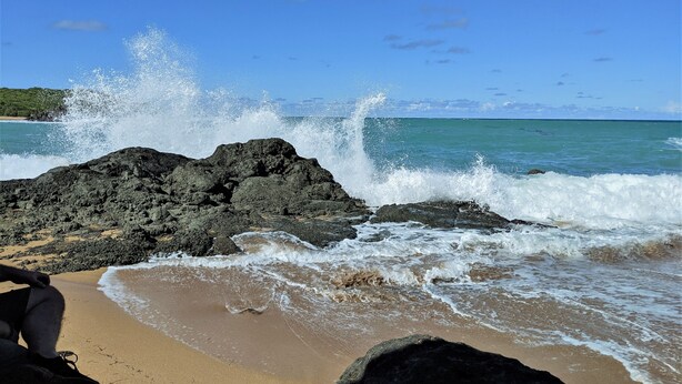 A beach with waves crashing against dark volcanic rocks. - Tropical Rainforest Retreat (Naguabo)
