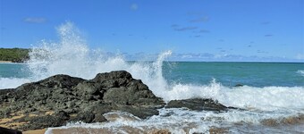 Tropical Rainforest Retreat