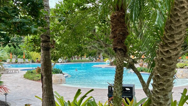 Un área de piscina con varias piscinas, rodeada de exuberante follaje y palmeras.