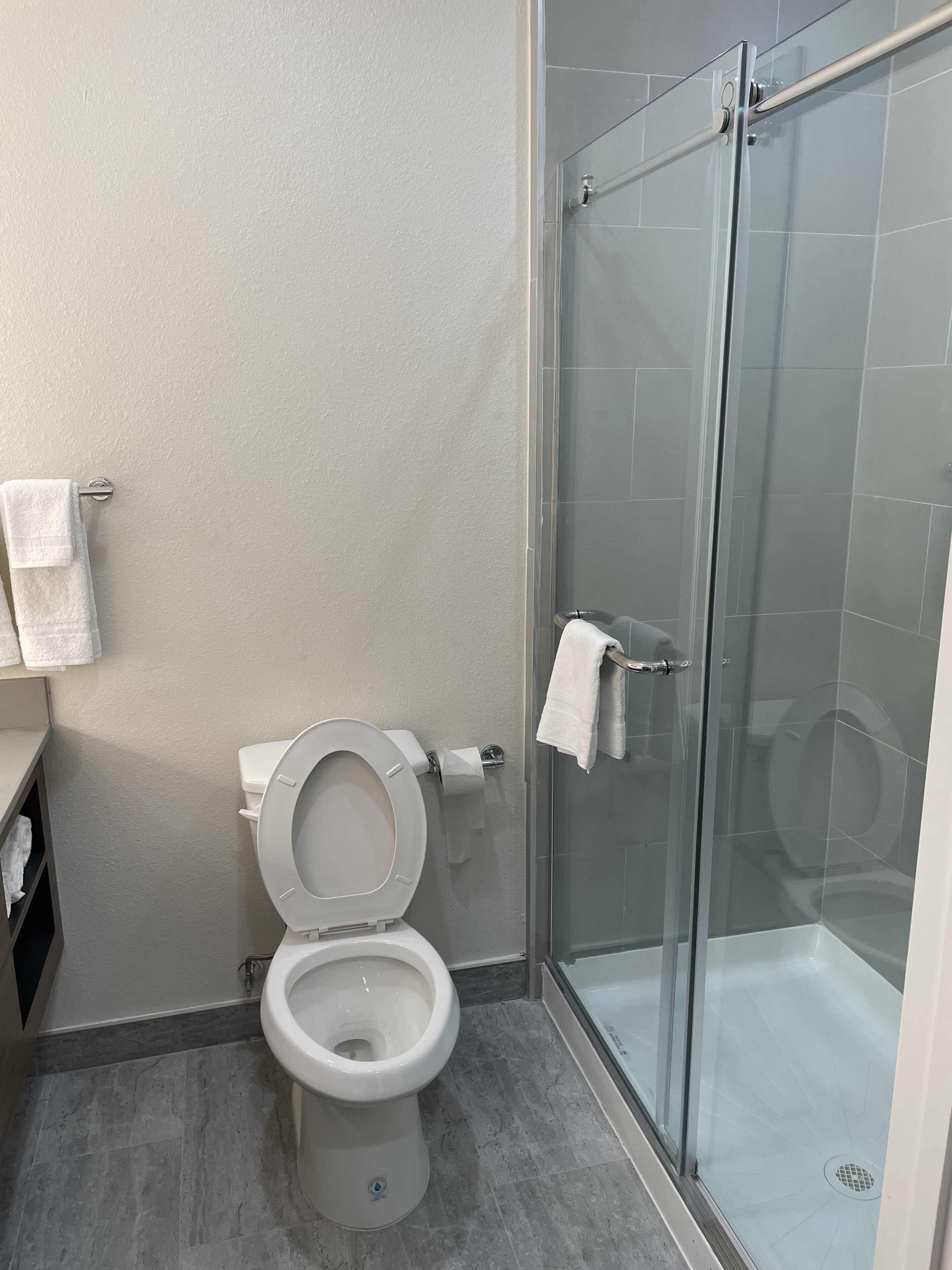 A bathroom with a toilet, a glass-enclosed shower, and a towel rack.