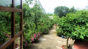 A garden pathway with lush greenery and flowering plants. - La Familia Guesthouse (Long Bay)