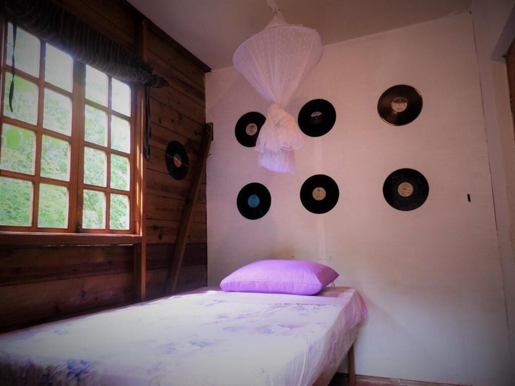 Una habitación con una cama, un ventanal con vistas a la vegetación y discos colgados en la pared.