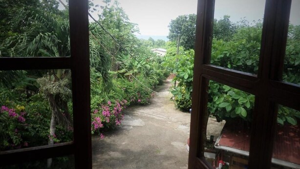 An open doorway leading to a garden with a concrete path and various plants and flowers. - La Familia Guesthouse (Long Bay)