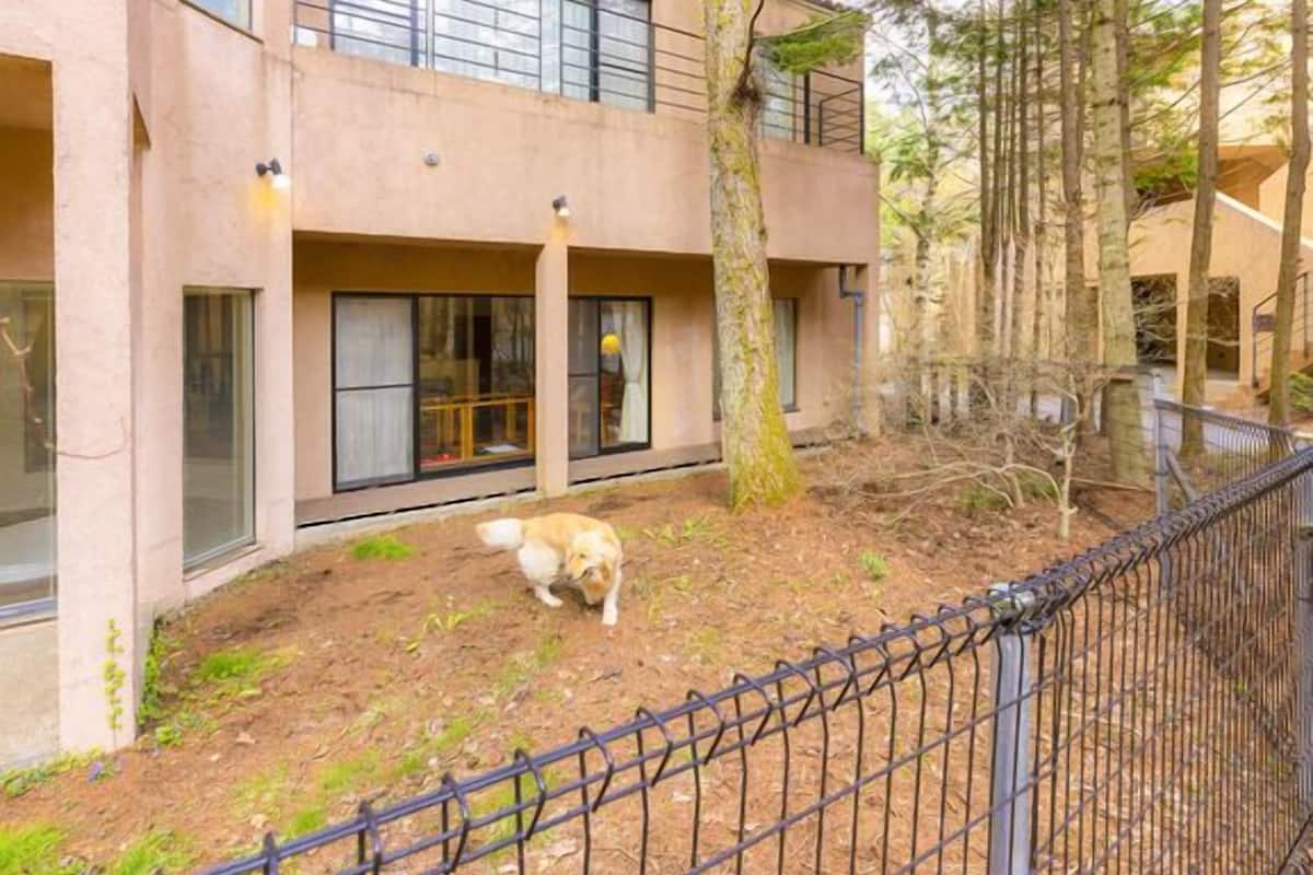 Un edificio con un área exterior cercada, un perro paseando y árboles.