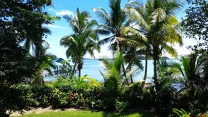 A tropical garden with palm trees and a view of the ocean.