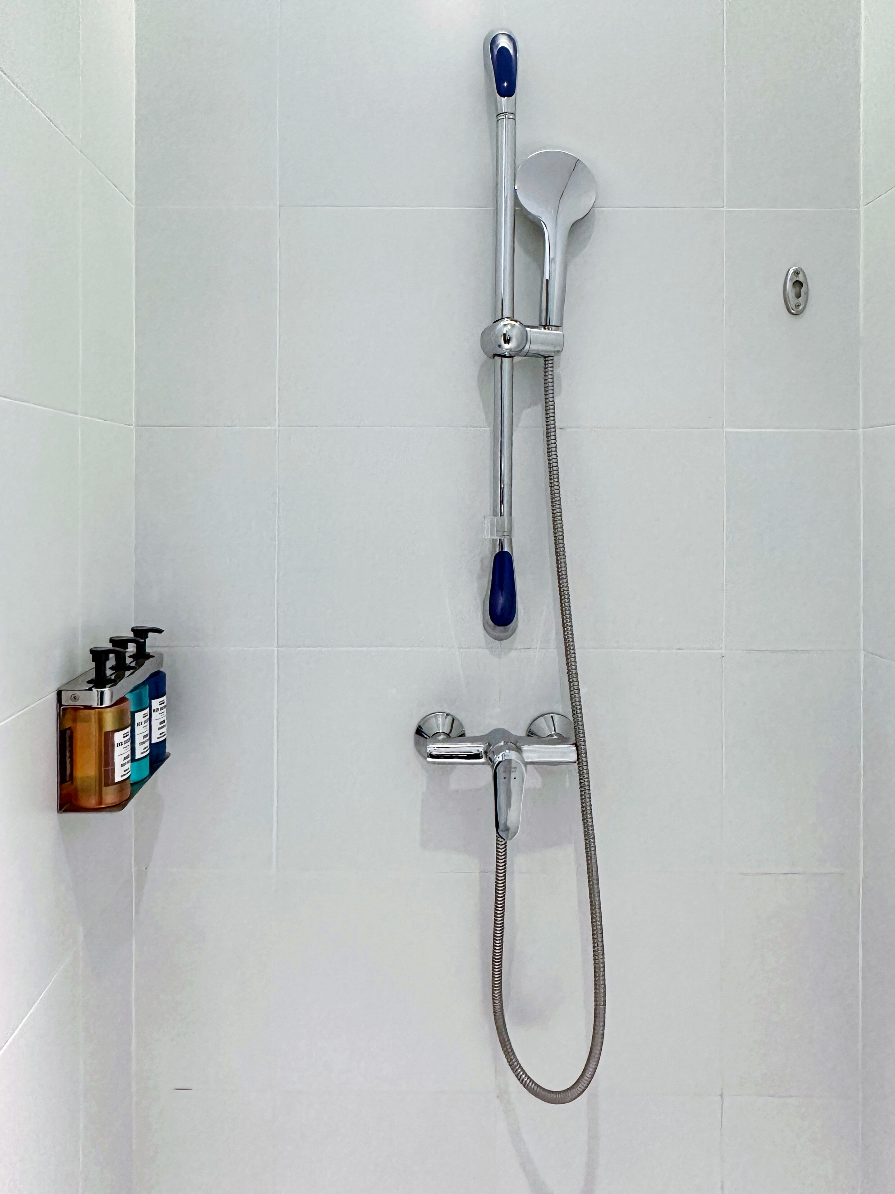 A shower with a handheld showerhead and a handheld scrubber.