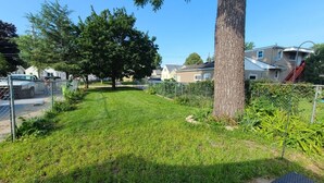 A residential yard with a lawn, a large tree, and a metal fence.