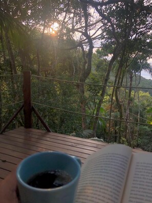 Property grounds - CasaDaMata - Scherer Houses (SC)