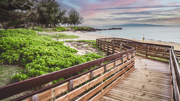 A wooden boardwalk leading to a beach with green vegetation and trees in the background. - *25% Off-Steps to Beach-AC in Every Room-Remodeled (Kihei)