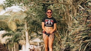 A person walking two dogs on a paved path surrounded by greenery.