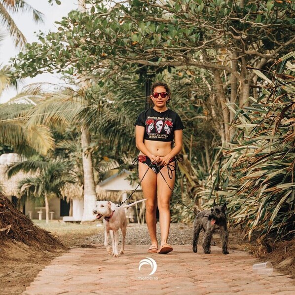 A person walking two dogs on a paved path surrounded by greenery. - Hotel Bungalows Marbella Costa Esmeralda (Tecolutla)