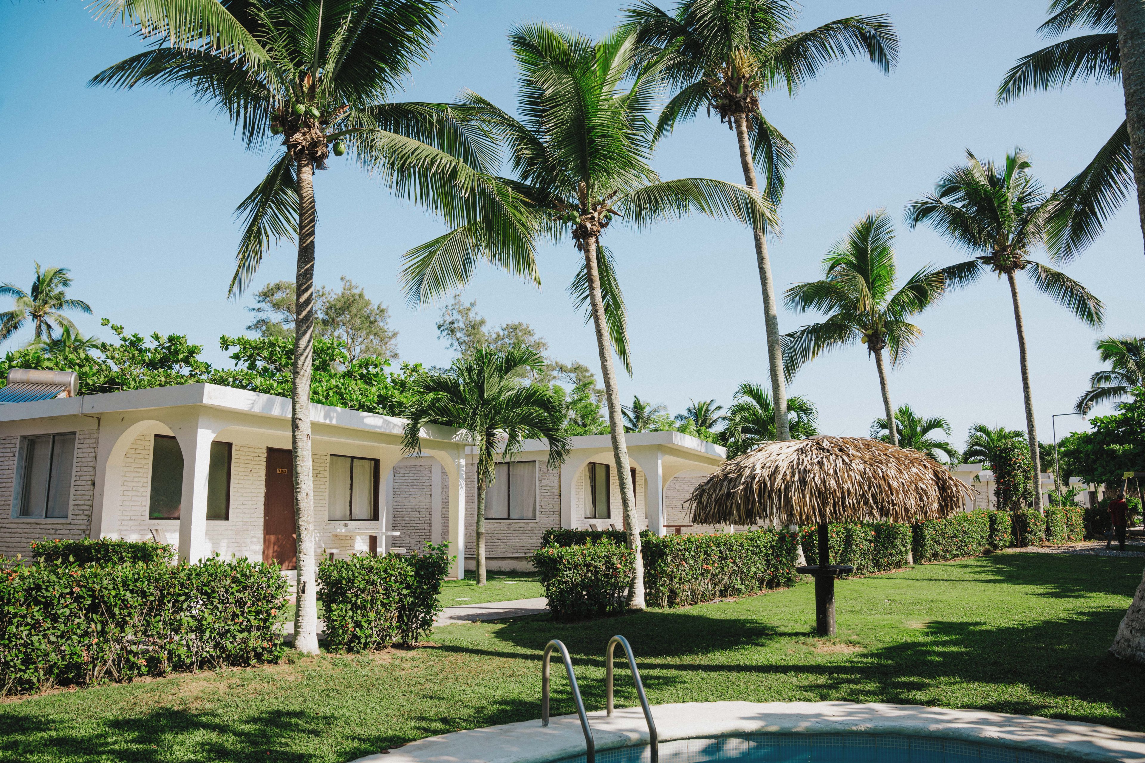 A resort with palm trees, a pool, and a thatched-roof structure.