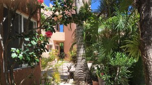 Ein Innenhof mit verschiedenen Pflanzen, einer Palme und einem Gebäude mit rosa Fassade.