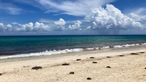 Ein Strand mit blauem Himmel und ruhiger See.