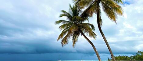 在海滩、沙滩椅、沙滩毛巾