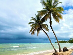 A beach with clear turquoise waters, a sailboat in the distance, and palm trees.