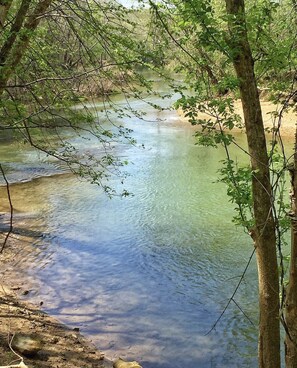 Unclassified image, 4 of 20, button