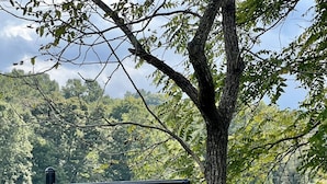 A sign for Salt Creek Cabins. - Creek View, Covered Decks & Private Hot Tub, Woods, Peaceful, Wildlife! (Chillicothe)