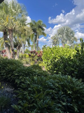 Property grounds - APRIL-MAY 2025, Luxury 2BD/2BA, Sarasota,Palmer Ranch,Florida,GARAGE, 1st Floor, (Sarasota)