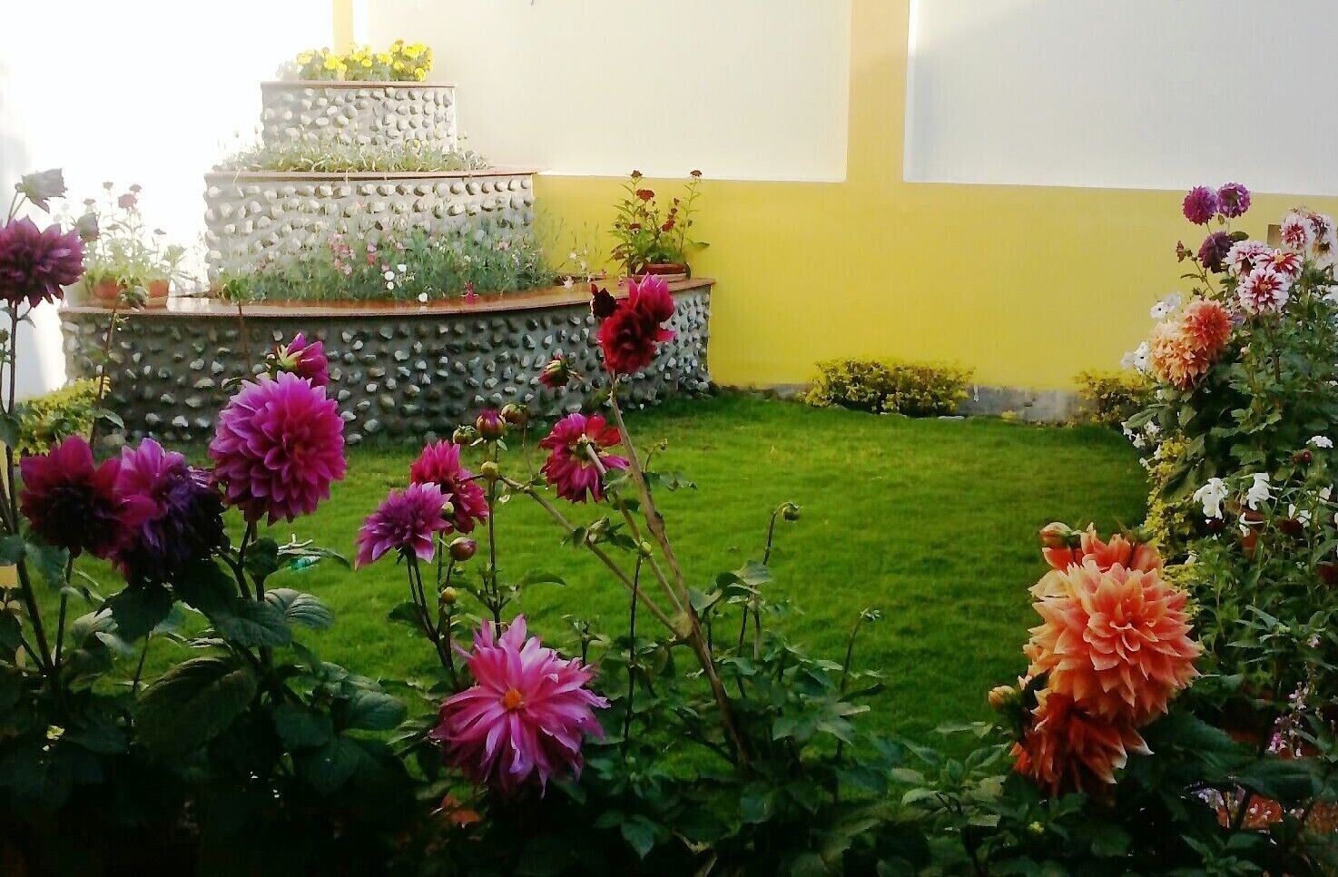 Terrace Garden on the 1st Floor adjacent to One BHK Apartment SA1