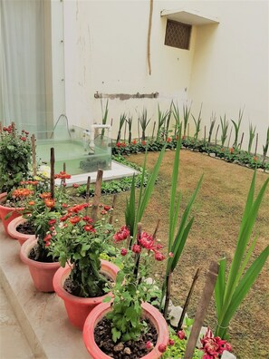 Terrein van de accommodatie