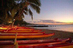 A beach with canoes lined up and palm trees in the background.