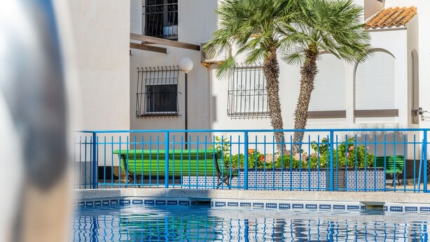 A swimming pool with a blue tiled edge, a green lounge chair, and a palm tree. - Apartment El Paraiso near Beach with Shared Pool, Balcony, & Wi-Fi (Torrevieja)