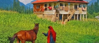 Elysium Inn Guest House