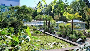 Un jardín botánico con fuente de agua, plantas en macetas e invernaderos.