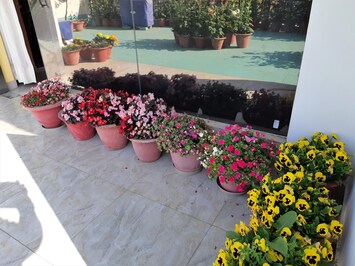 Terrace of One BHK Apartment SA2