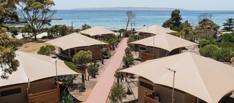 袋鼠島 Seafront Holiday Park 度假村