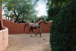 Property grounds - Sprawling Arizona Oasis w/ Dream Backyard (New River)