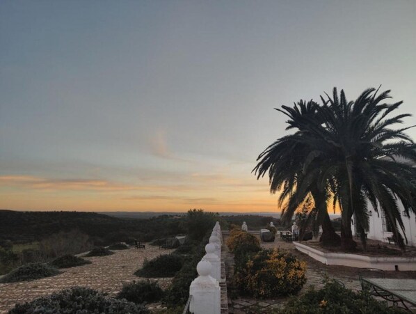 Escape to a serene tropical paradise with a tranquil pathway leading to the horizon.