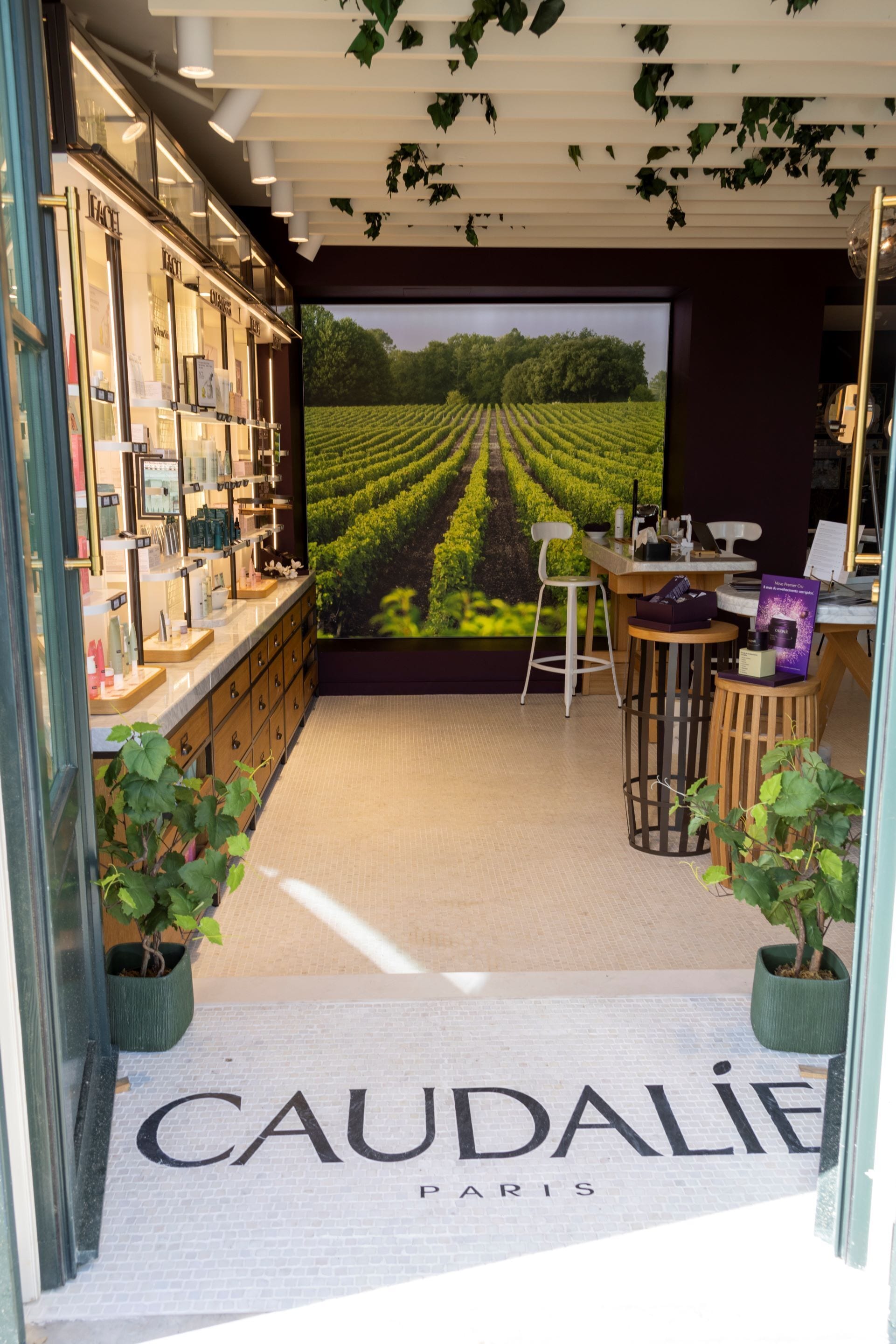 body treatments, facials, massages