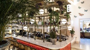 Eine Bar mit gewölbter Decke, zahlreichen Regalen mit Flaschen und verschiedenen Pflanzen.