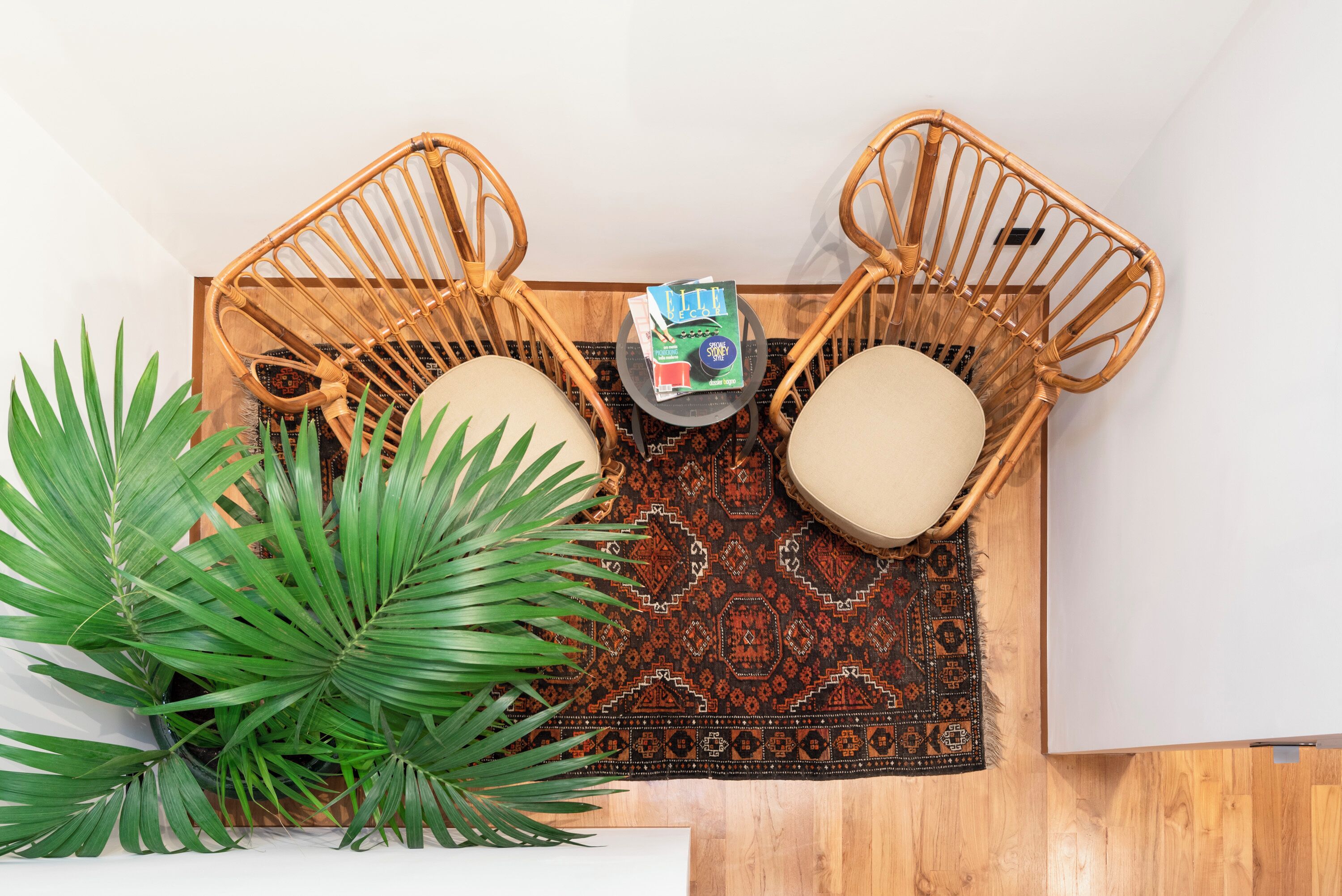 Una habitación con piso de madera, dos sillones de mimbre con cojines, un tapete estampado y una planta verde grande.
